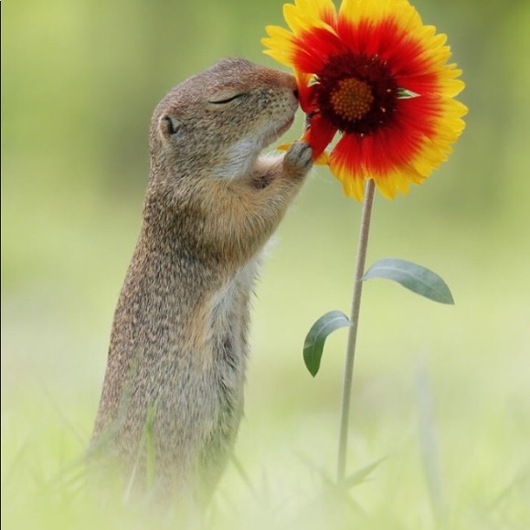 Meet your Posher, Sonya - Picture 1 of 1